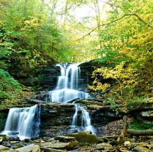 Meet your Posher, Paul